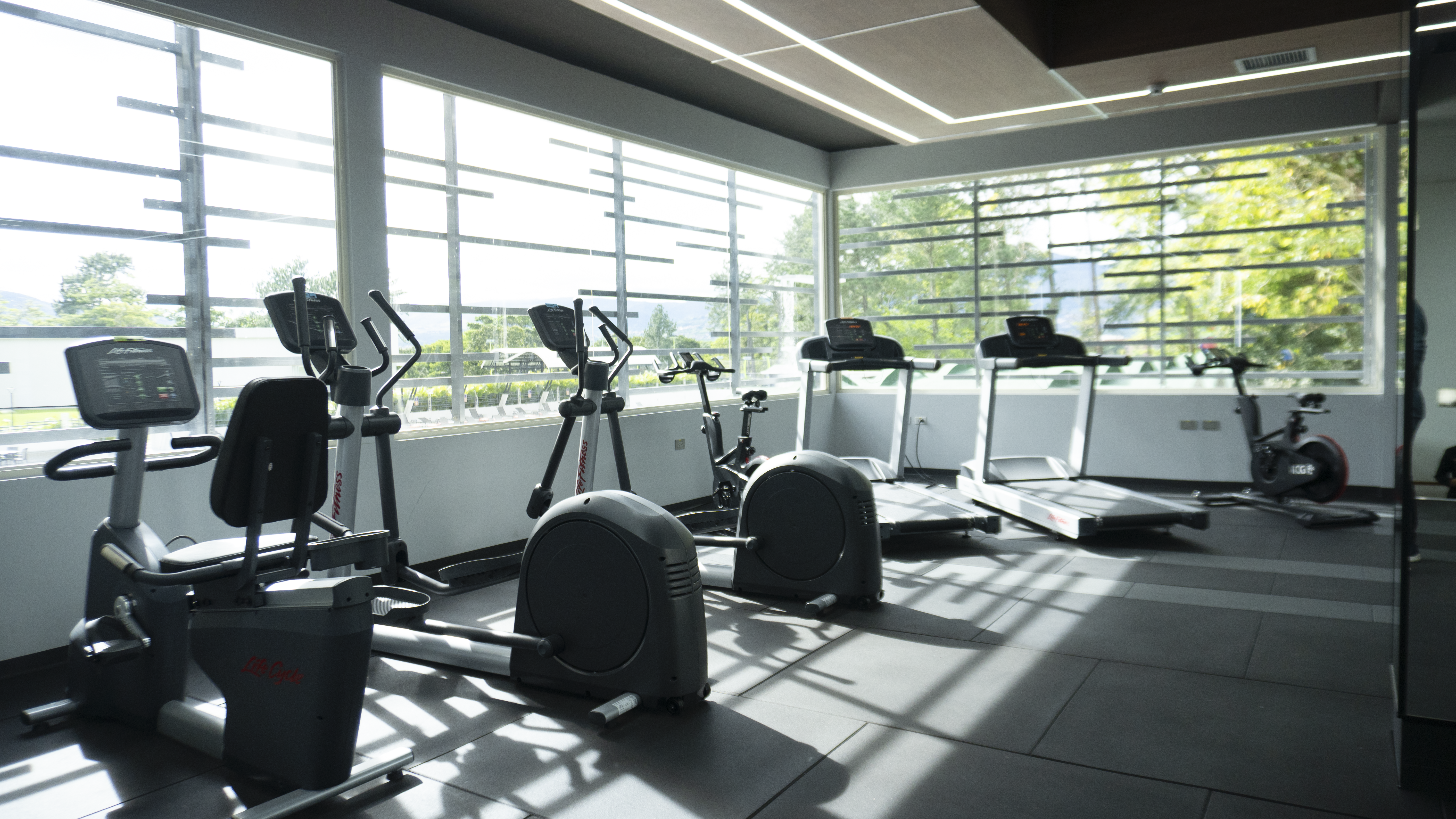 Área de Cardio