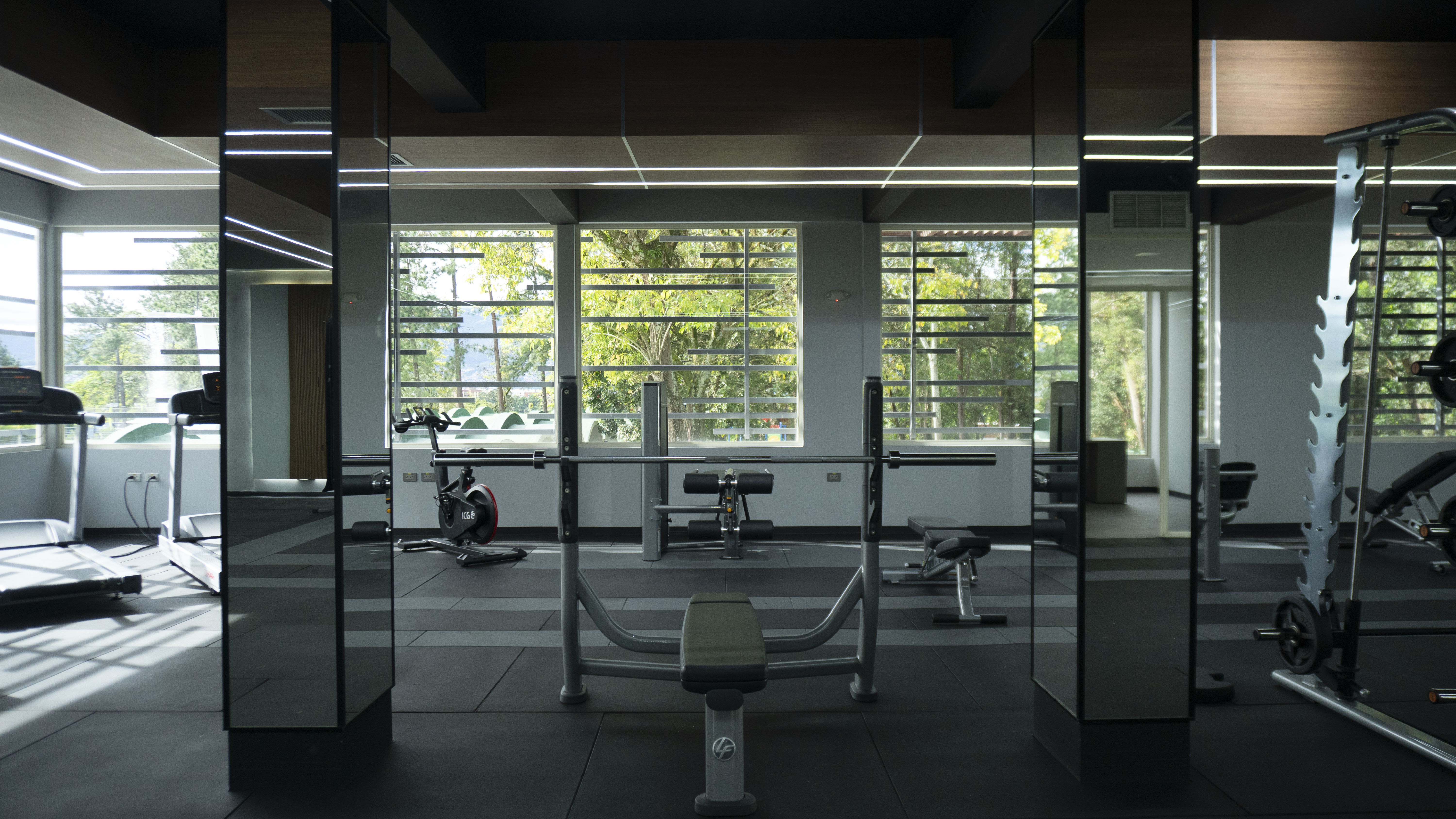 Gimnasio